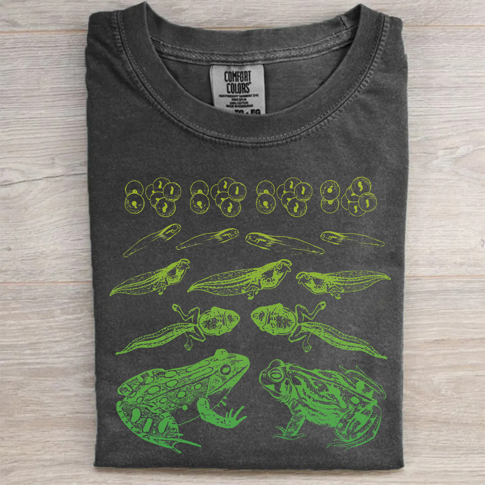 Educational Frog Life Cycle T-Shirt