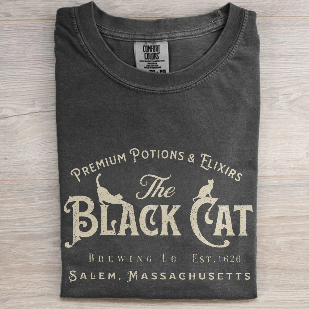 Halloween Black Cat Shirt, Vintage Witch Tee, Comfort Colors® Spooky Gift