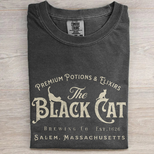 Halloween Black Cat Shirt, Vintage Witch Tee, Comfort Colors® Spooky Gift