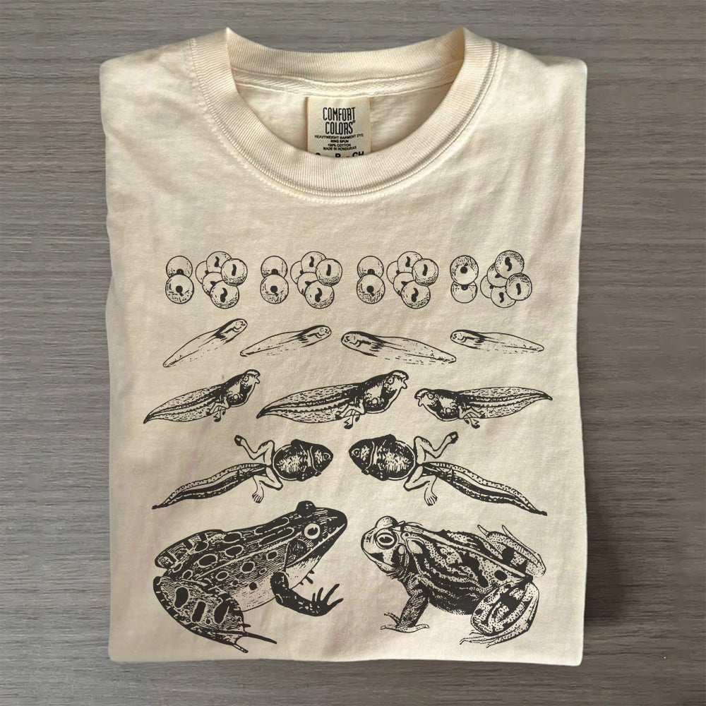 Educational Frog Life Cycle T-Shirt