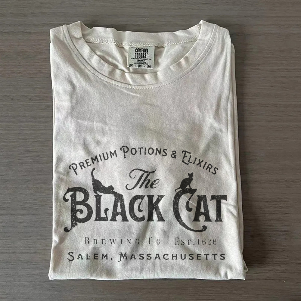 Halloween Black Cat Shirt, Vintage Witch Tee, Comfort Colors® Spooky Gift
