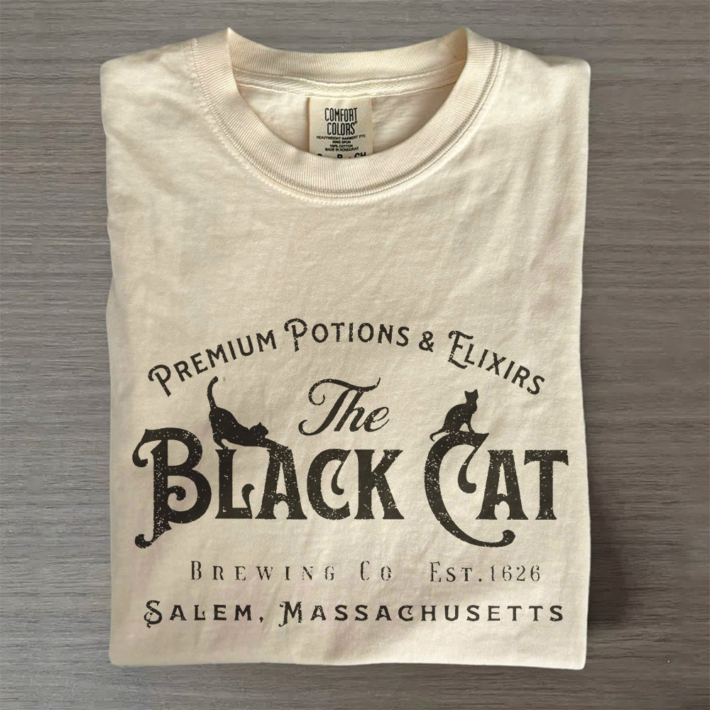 Halloween Black Cat Shirt, Vintage Witch Tee, Comfort Colors® Spooky Gift